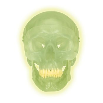 Neonschädel A20/N