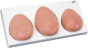 Brust-Tastmodell, drei Einzelbrüste auf Sockel L55