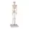 Mini-Skelett W10530
